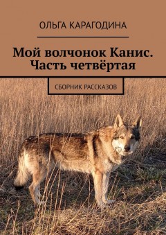 Мой волчонок Канис. Часть четвёртая. Сборник рассказов