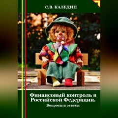 Финансовый контроль в Российской Федерации. Вопросы и ответы