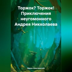 Торжок? Торжок! Приключения неугомонного Андрея Никколаева