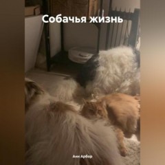 Собачья жизнь