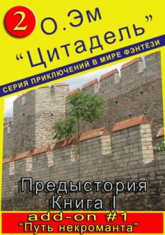 Путь некроманта (Дополнение #1 к «Цитадель. Предыстория. Книга 1»)