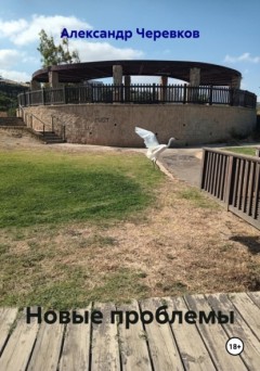 Новые проблемы