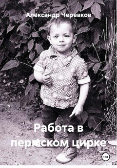 Работа в пермском цирке