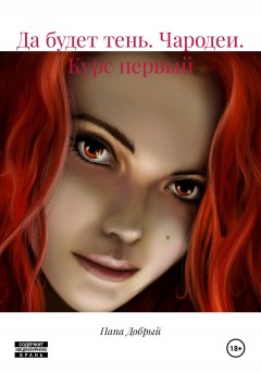 Да будет тень. Чародеи. Курс первый