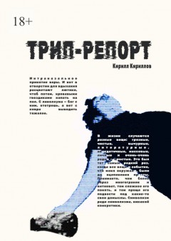 Трип-репорт