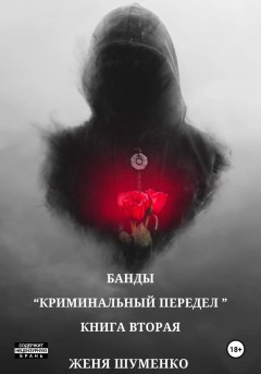 Банды: Криминальный передел. Книга вторая