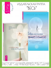 Искусство созерцания. Современные медитации: 101 способ замедлить темп и соединиться с духом