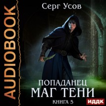 Попаданец. Маг Тени. Книга 5