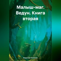 Малыш-маг. Ведун. Книга вторая