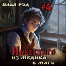 Инвестиго. Из медика в маги. Том 4