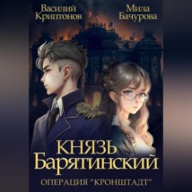 Князь Барятинский 4. Операция «Кронштадт»