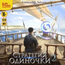 Стратегия одиночки. Книга 2