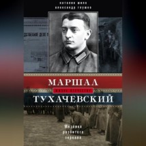 Маршал Тухачевский. Мозаика разбитого зеркала