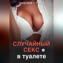 Случайный секс в туалете