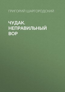 Чудак. Неправильный вор