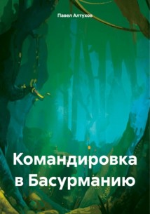 Командировка в Басурманию