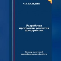 Разработка программы развития предприятия. Пример выпускной квалификационной работы