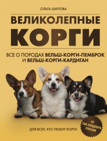 Великолепные корги: все о породах вельш-корги-пемброк и вельш-корги-кардиган