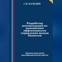 Разработка рекомендаций по повышению эффективности управления малым бизнесом