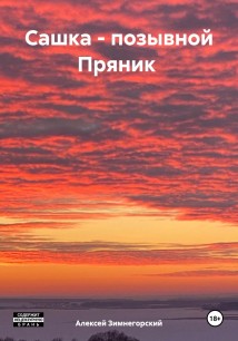 Сашка – позывной Пряник