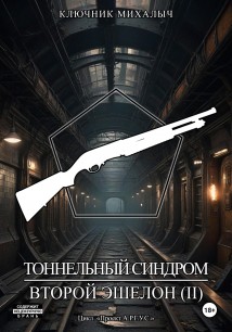 Тоннельный синдром. Книга 3: Второй эшелон. Том 2