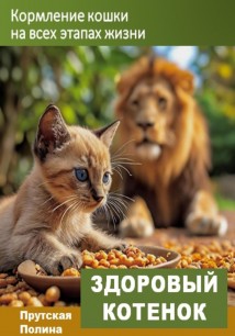 Здоровый котёнок. Кормление кошки на всех этапах жизни