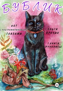 Бублик. Кот с ультрамариновыми глазами. Книга 1