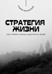 Стратегия жизни. Как строить планы и достигать целей