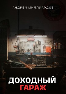 Доходный Гараж. Практическое руководство по организации бизнеса на гаражной недвижимости