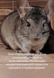 Эссе «Приближение рациона домашних шиншилл к естественному. На примере концентрированного корма для шиншилл и грубых кормов»
