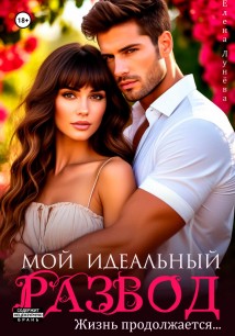 Мой идеальный развод. Жизнь продолжается…