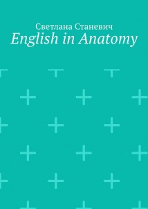 English in Anatomy