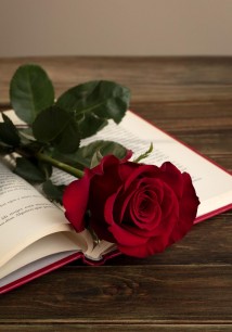 Волшебная Сказка (недетская)