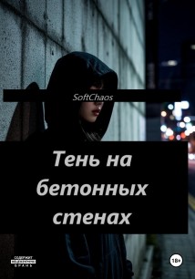 Тень на бетонных стенах
