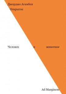 Открытое. Человек и животное