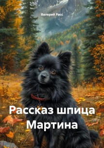 Рассказ шпица Мартина