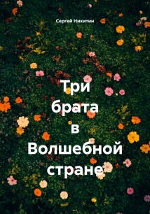 Три брата в Волшебной стране