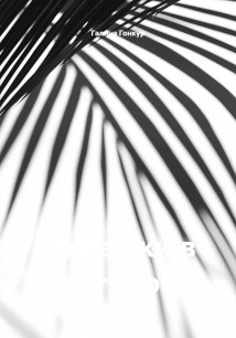 Ромашки в октябре