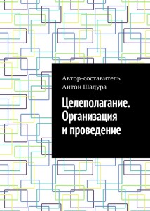 Целеполагание. Организация и проведение