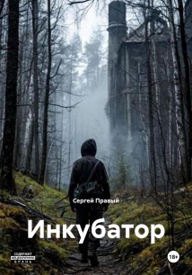 Инкубатор