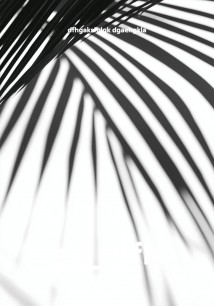 ak_fhfh