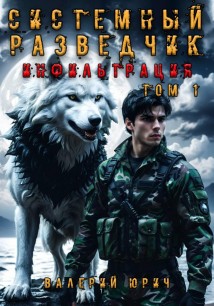 Системный разведчик. Инфильтрация.