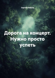 Дорога на концерт. Нужно просто успеть