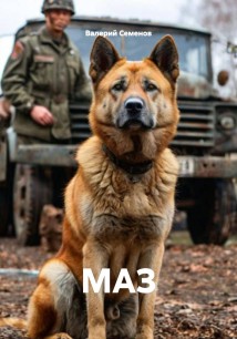 МАЗ