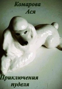 Приключения пуделя