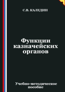 Функции казначейских органов