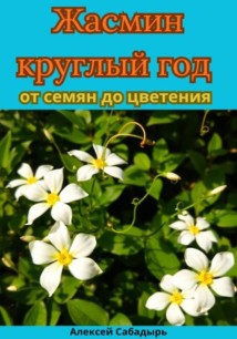 Жасмин круглый год от семян до цветения
