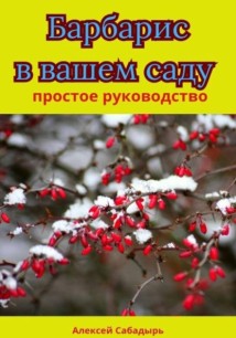 Барбарис в вашем саду простое руководство