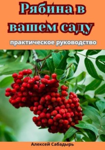 Рябина в вашем саду: практическое руководство
