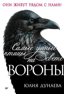 Самые умные птицы на свете. Вороны